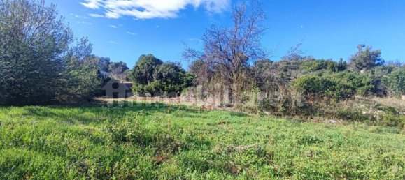 Земельный участок 25000м² в Полиньяно а Маре, Италия № 22201 27