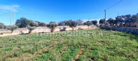 Земельный участок 25000м² в Полиньяно а Маре, Италия № 22201 49