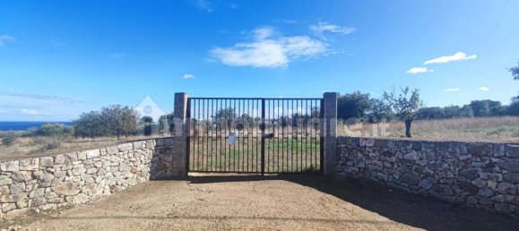 Земельный участок 25000м² в Полиньяно а Маре, Италия № 22201 41