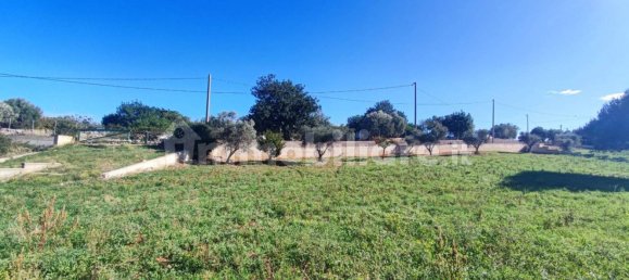 Земельный участок 25000м² в Полиньяно а Маре, Италия № 22201 29