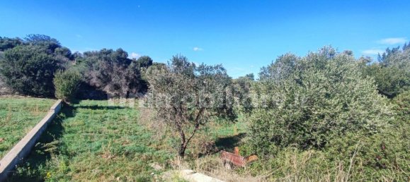Земельный участок 25000м² в Полиньяно а Маре, Италия № 22201 8