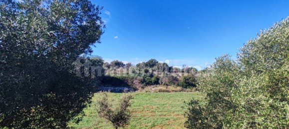 Земельный участок 25000м² в Полиньяно а Маре, Италия № 22201 14