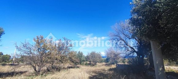 Земельный участок 25000м² в Полиньяно а Маре, Италия № 22201 4