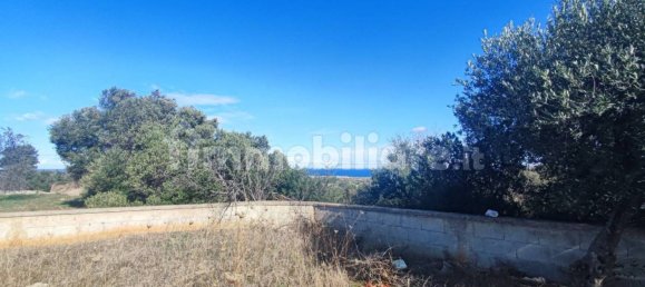 Земельный участок 25000м² в Полиньяно а Маре, Италия № 22201 33