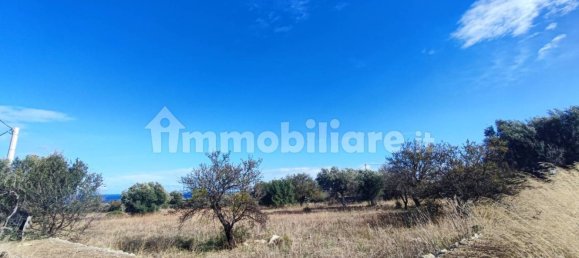 Земельный участок 25000м² в Полиньяно а Маре, Италия № 22201 50