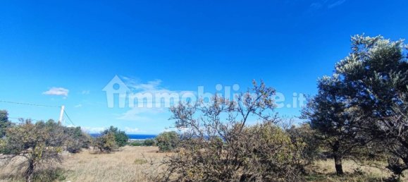 Земельный участок 25000м² в Полиньяно а Маре, Италия № 22201 3