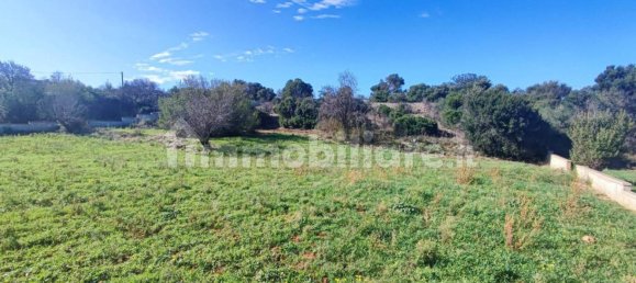 Земельный участок 25000м² в Полиньяно а Маре, Италия № 22201 23