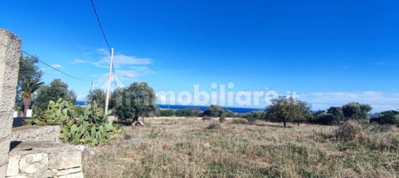 Земельный участок 25000м² в Полиньяно а Маре, Италия № 22201 37