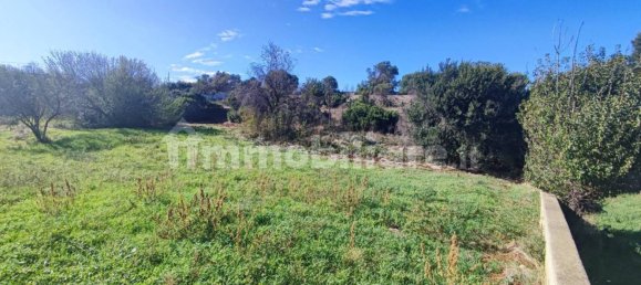 Земельный участок 25000м² в Полиньяно а Маре, Италия № 22201 24