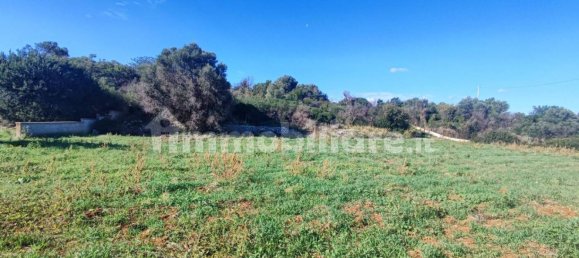 Земельный участок 25000м² в Полиньяно а Маре, Италия № 22201 9