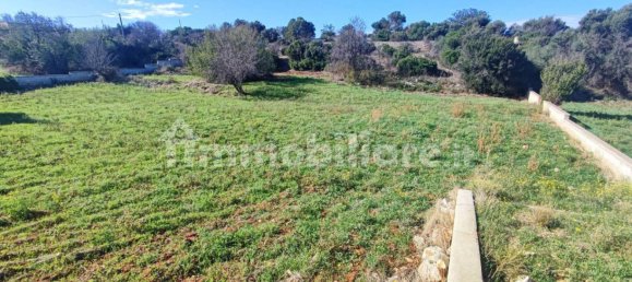 Земельный участок 25000м² в Полиньяно а Маре, Италия № 22201 22