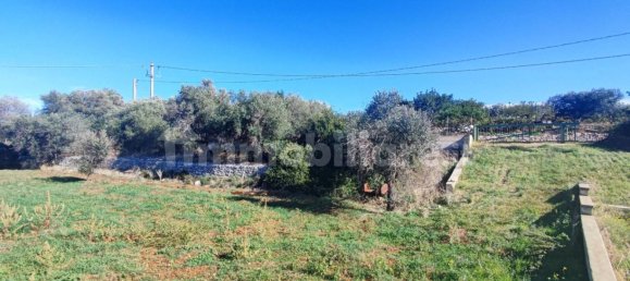 Земельный участок 25000м² в Полиньяно а Маре, Италия № 22201 36