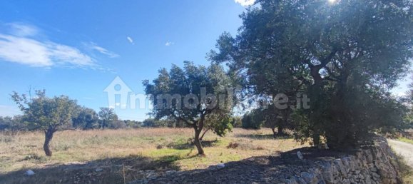 Земельный участок 25000м² в Полиньяно а Маре, Италия № 22201 42