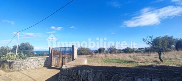 Земельный участок 25000м² в Полиньяно а Маре, Италия № 22201 39