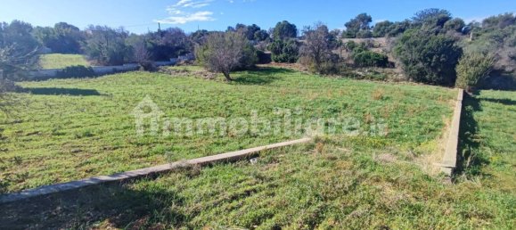 Земельный участок 25000м² в Полиньяно а Маре, Италия № 22201 20