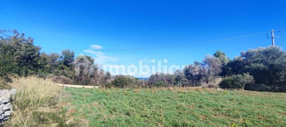 Земельный участок 25000м² в Полиньяно а Маре, Италия № 22201 12