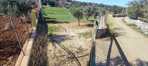 Земельный участок 25000м² в Полиньяно а Маре, Италия № 22201 44