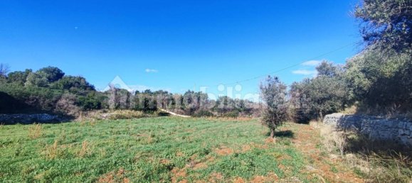 Земельный участок 25000м² в Полиньяно а Маре, Италия № 22201 10