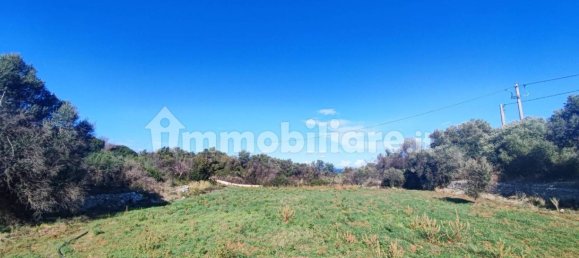 Земельный участок 25000м² в Полиньяно а Маре, Италия № 22201 30