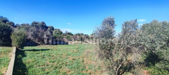 Земельный участок 25000м² в Полиньяно а Маре, Италия № 22201 7