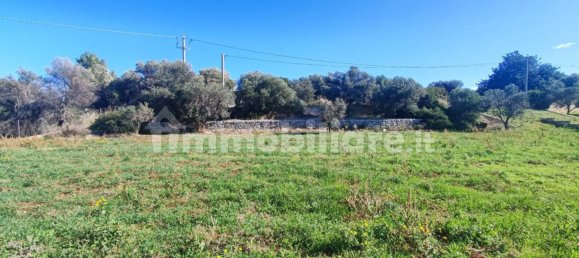 Земельный участок 25000м² в Полиньяно а Маре, Италия № 22201 11