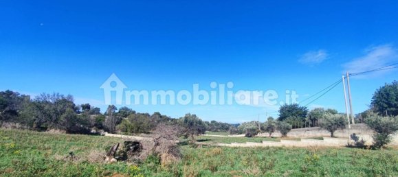 Земельный участок 25000м² в Полиньяно а Маре, Италия № 22201 47