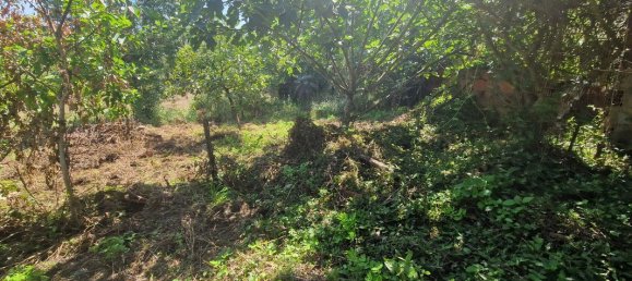 3 Schlafzimmer Haus in Tapeus, Portugal, Nr. 161767 20