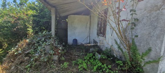 3 Schlafzimmer Haus in Tapeus, Portugal, Nr. 161767 2