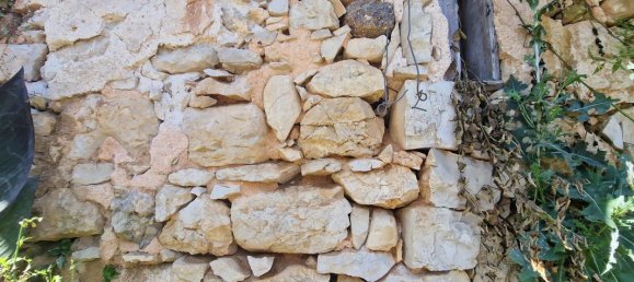 3 Schlafzimmer Haus in Tapeus, Portugal, Nr. 161767 22