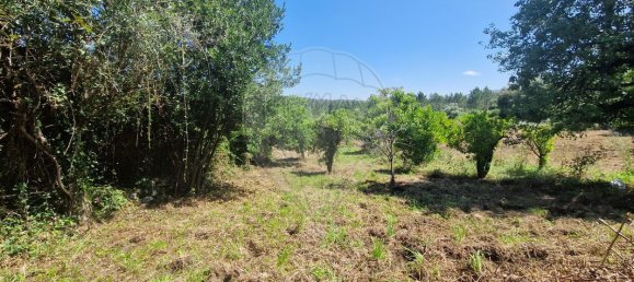 3 Schlafzimmer Haus in Tapeus, Portugal, Nr. 161767 19