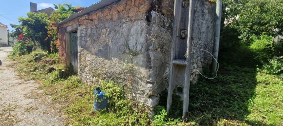 3 Schlafzimmer Haus in Tapeus, Portugal, Nr. 161767 3