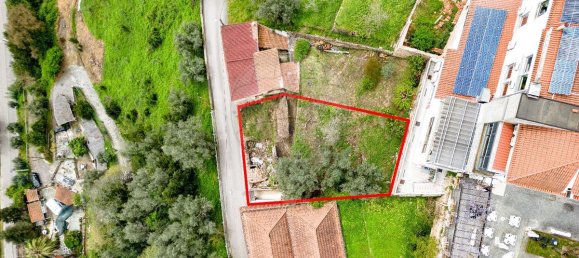 4 bedrooms House in Penacova, Portugal No. 28530 3