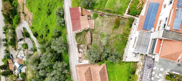 4 bedrooms House in Penacova, Portugal No. 28530 10