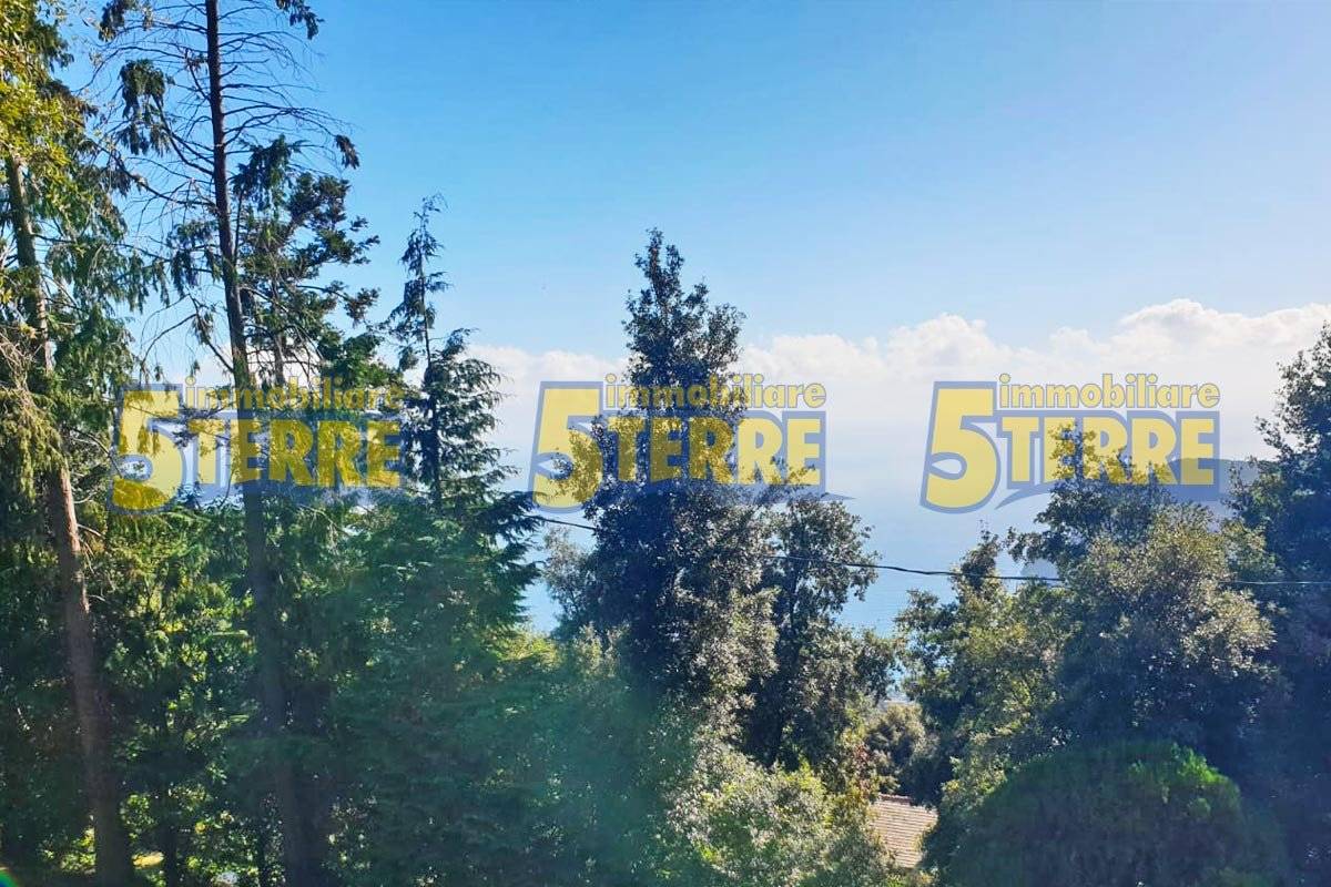 1 bedroom House in Monterosso al Mare, Italy No. 358619