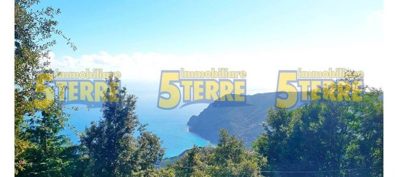 1 bedroom House in Monterosso al Mare, Italy No. 358619 16