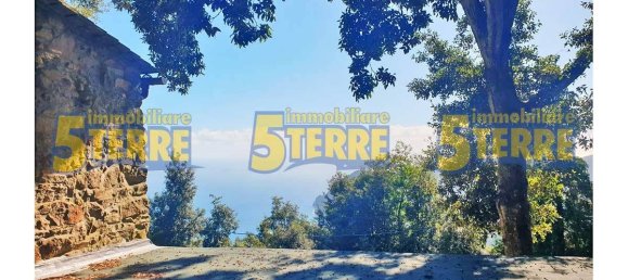 1 bedroom House in Monterosso al Mare, Italy No. 358619 11