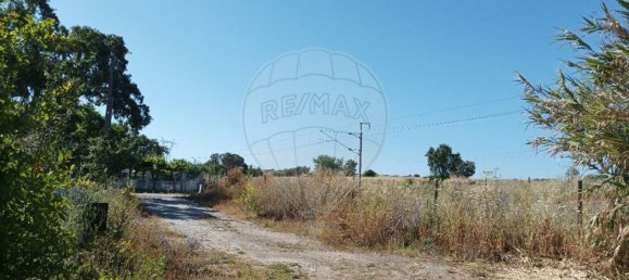 2 Schlafzimmer Haus in Montemor o Novo, Portugal, Nr. 25514 4