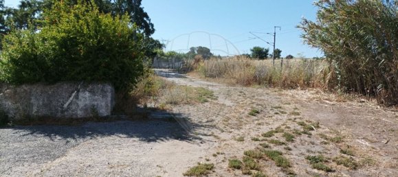 2 Schlafzimmer Haus in Montemor o Novo, Portugal, Nr. 25514 2