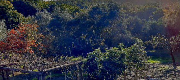 16-salle Maison à Asciano, Italy No. 133010 31