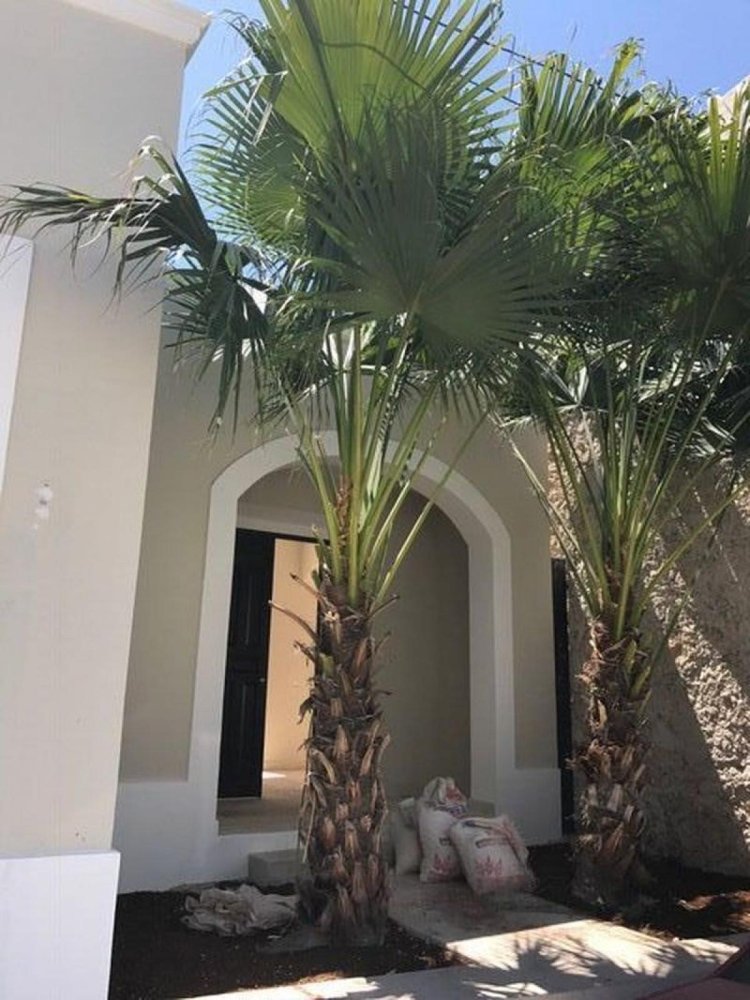 Casa de 4 dormitorios en Yucatán, Mexico No. 190315