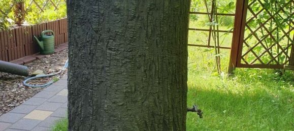 2 bedrooms Bungalow in Brandenburg, Germany No. 13695 8