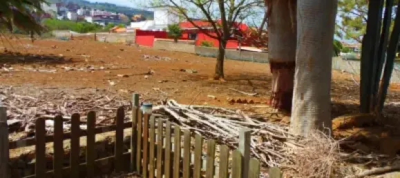 3 غرف نوم منزل في Tacoronte, Spain رقم 31261 13