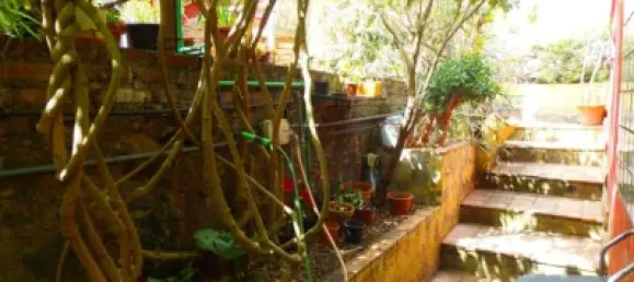 3 غرف نوم منزل في Tacoronte, Spain رقم 31261 12