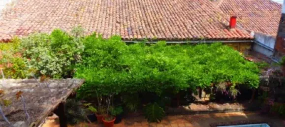 3 غرف نوم منزل في Tacoronte, Spain رقم 31261 15