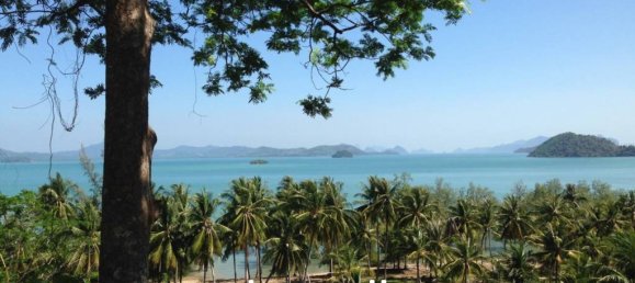 Commercial property in Pa Klok, Thailand No. 25312 5