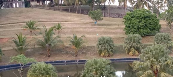 Commercial property in Pa Klok, Thailand No. 25312 9