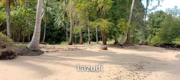 Commercial property in Pa Klok, Thailand No. 25312 10