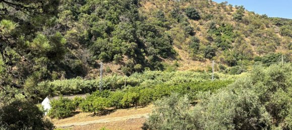 Terreno em Estepona, Spain 13391 m² N.º 147725 4