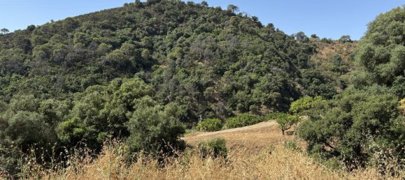 Terreno em Estepona, Spain 13391 m² N.º 147725 13