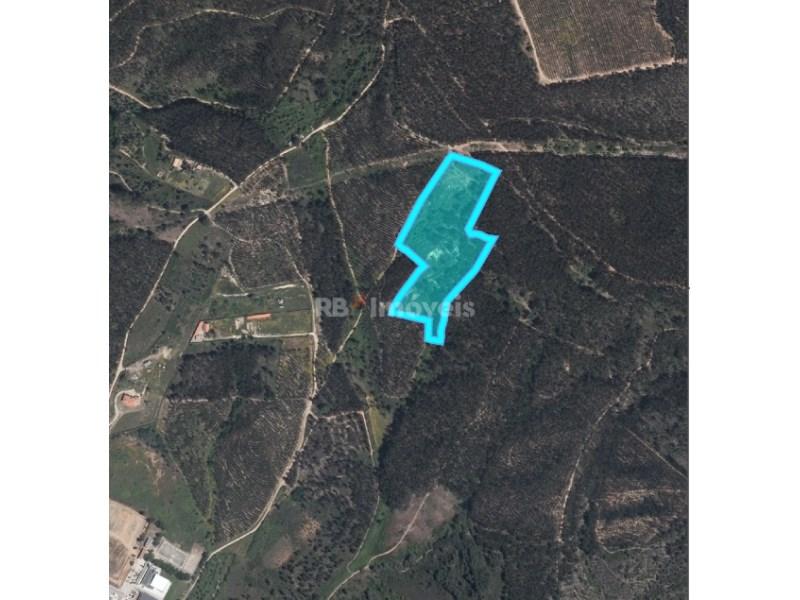 Земельный участок 25360м² в Вила Нова да Баркинья, Португалия № 251000
